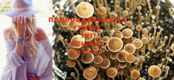 кокаин Нефтекумск
