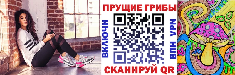 Псилоцибиновые грибы прущие грибы  Котельниково 